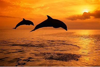 《咒语力量3 增强版》今日上线Steam 官方发布PC版预告